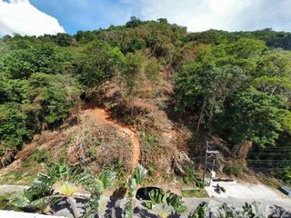 For sale land in Mueang Phuket, Phuket
