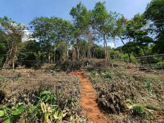 For sale land in Mueang Phuket, Phuket