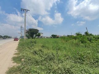 For sale land in Bang Bua Thong, Nonthaburi
