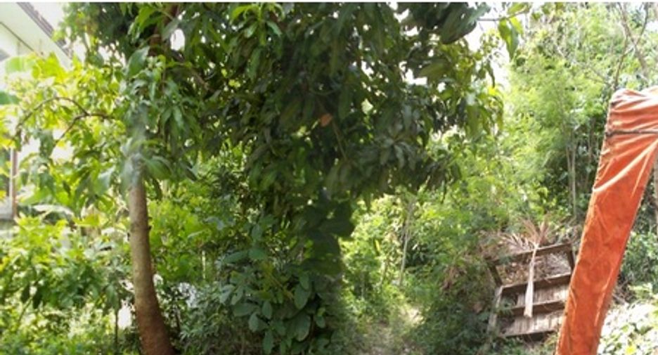 For sale land in Mueang Pathum Thani, Pathum Thani