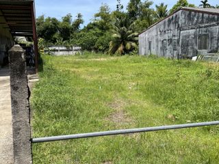 For sale land in Thalang, Phuket