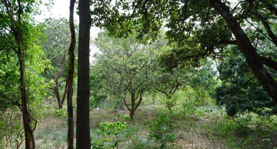 For rent and for sale 1 bed condo in Mueang Chiang Mai, Chiang Mai