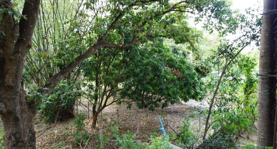 For rent and for sale 1 bed condo in Mueang Chiang Mai, Chiang Mai