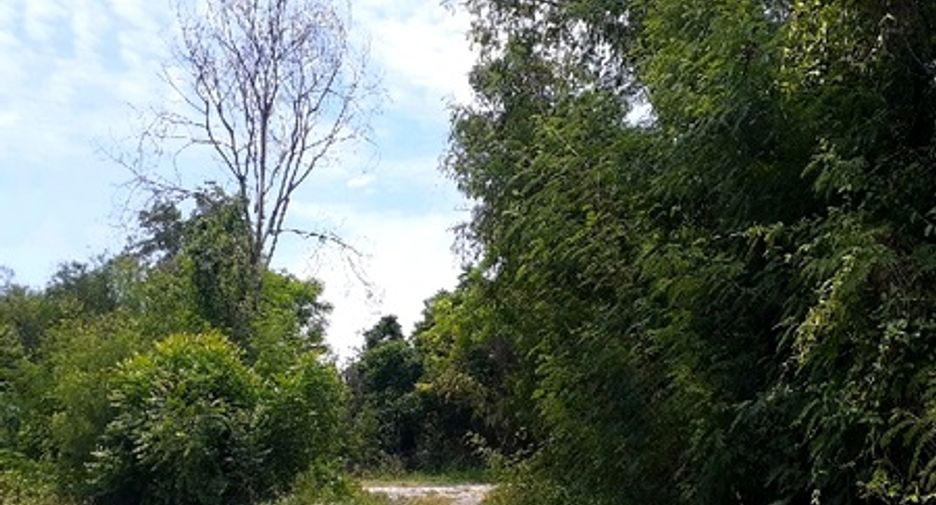 For sale land in Phra Phutthabat, Saraburi