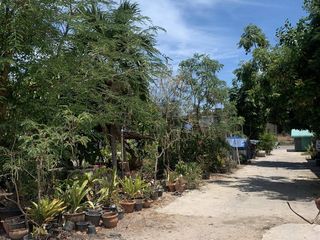 For sale land in Ko Samui, Surat Thani