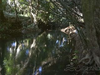 For sale land in Thong Pha Phum, Kanchanaburi