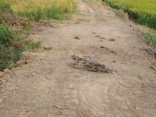 For sale land in Bang Sai, Phra Nakhon Si Ayutthaya