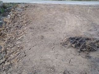 For sale land in Bang Sai, Phra Nakhon Si Ayutthaya