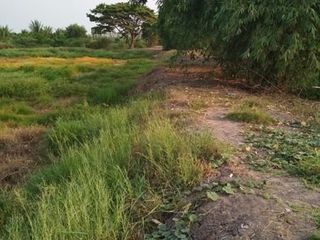 For sale land in Bang Sai, Phra Nakhon Si Ayutthaya