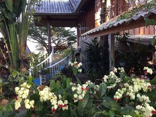 For sale 3 Beds house in Pai, Mae Hong Son