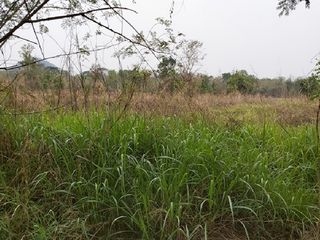 Продажа Участок в Chon Daen, Phetchabun