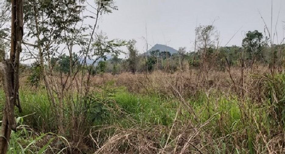 Terreno en venta en Chon Daen, Phetchabun