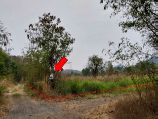 Продажа Участок в Chon Daen, Phetchabun
