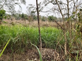 Продажа Участок в Chon Daen, Phetchabun