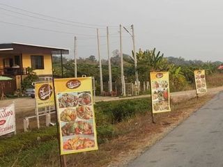 For sale land in Doi Lo, Chiang Mai