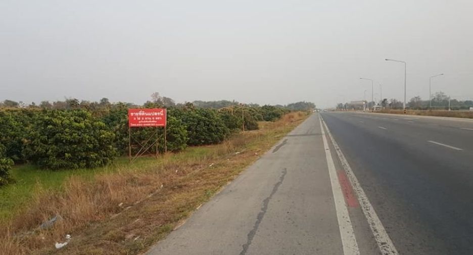 For sale land in Doi Lo, Chiang Mai