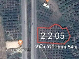For sale land in Doi Lo, Chiang Mai