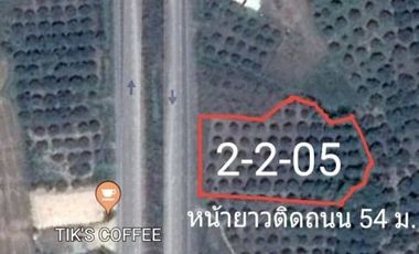 For sale land in Doi Lo, Chiang Mai