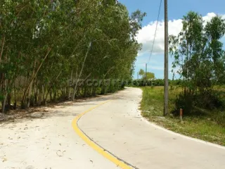 For sale land in Bang Lamung, Chonburi
