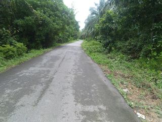 For sale land in Thai Mueang, Phang Nga