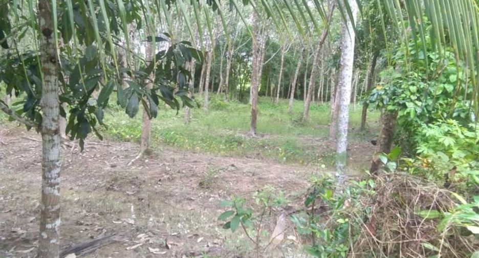 For sale land in Thai Mueang, Phang Nga