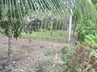 For sale land in Thai Mueang, Phang Nga