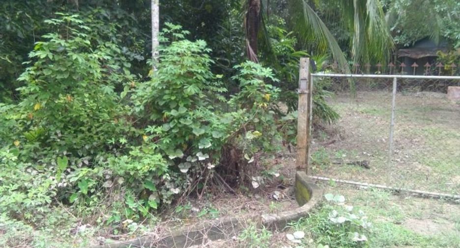 For sale land in Thai Mueang, Phang Nga