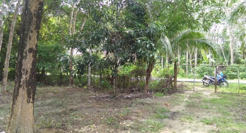 For sale land in Thai Mueang, Phang Nga