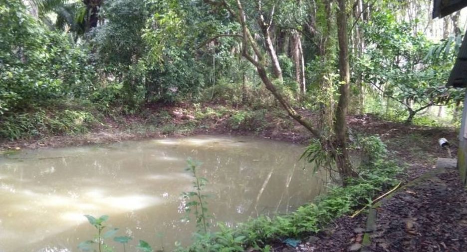 For sale land in Thai Mueang, Phang Nga