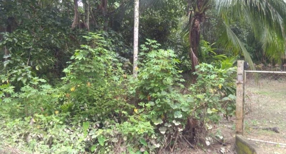 For sale land in Thai Mueang, Phang Nga