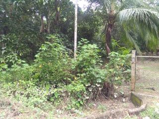 For sale land in Thai Mueang, Phang Nga