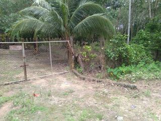 For sale land in Thai Mueang, Phang Nga
