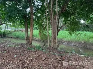 For sale land in Mueang Chiang Mai, Chiang Mai