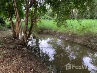 For sale land in Mueang Chiang Mai, Chiang Mai