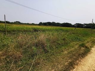 For sale land in Saraphi, Chiang Mai