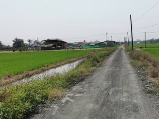 For sale land in Saraphi, Chiang Mai