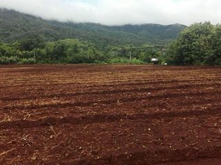 Grundstück zum Kauf in Samoeng, Chiang Mai