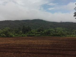 Grundstück zum Kauf in Samoeng, Chiang Mai