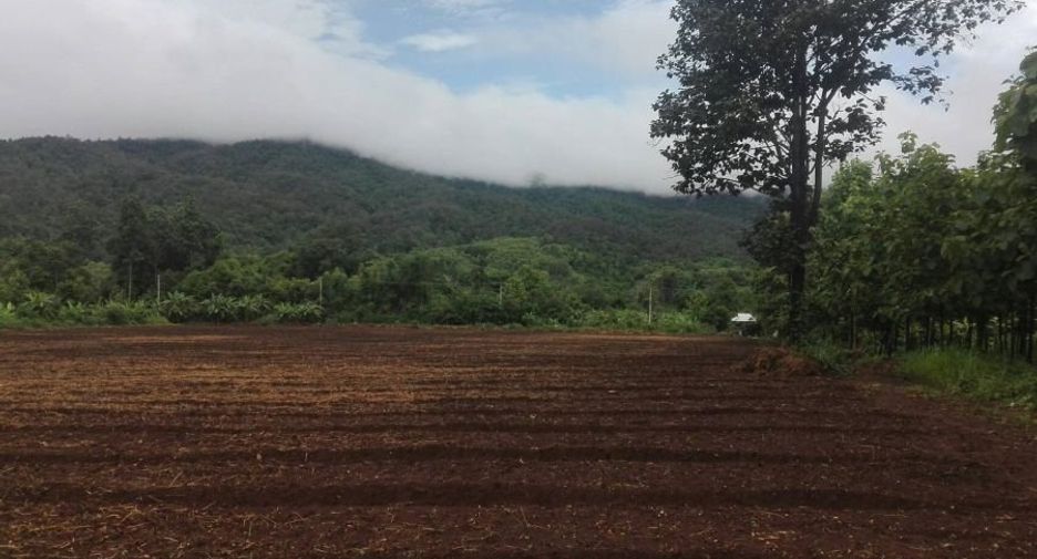 Grundstück zum Kauf in Samoeng, Chiang Mai