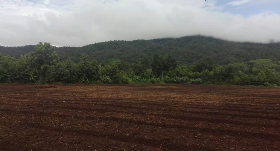 Grundstück zum Kauf in Samoeng, Chiang Mai