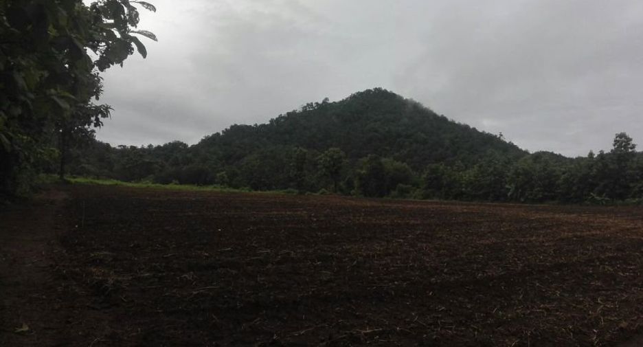 Grundstück zum Kauf in Samoeng, Chiang Mai