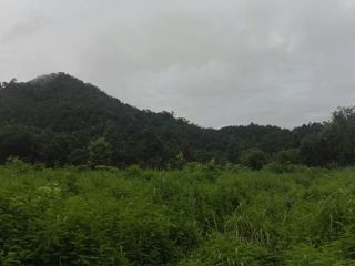 Grundstück zum Kauf in Samoeng, Chiang Mai