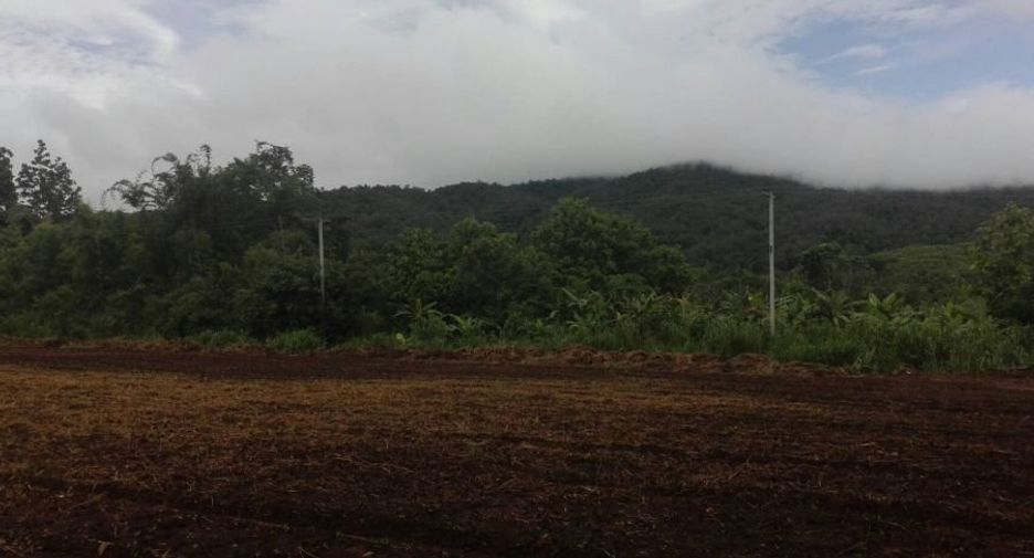 Grundstück zum Kauf in Samoeng, Chiang Mai