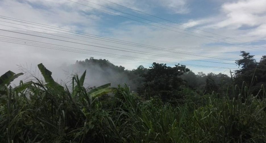 Grundstück zum Kauf in Samoeng, Chiang Mai