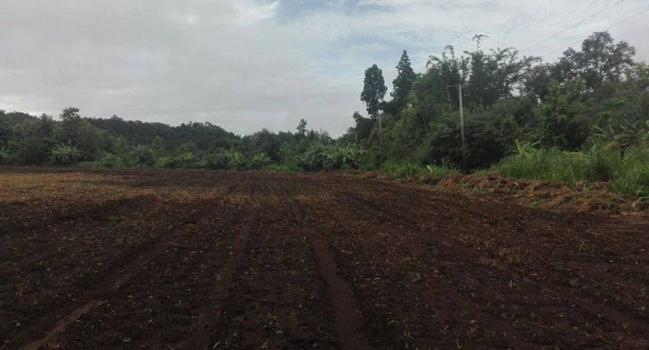 Grundstück zum Kauf in Samoeng, Chiang Mai