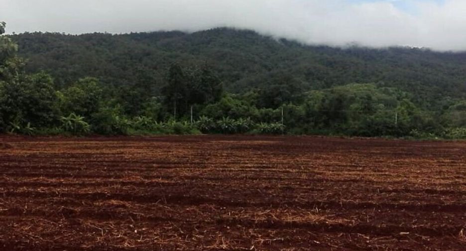Grundstück zum Kauf in Samoeng, Chiang Mai