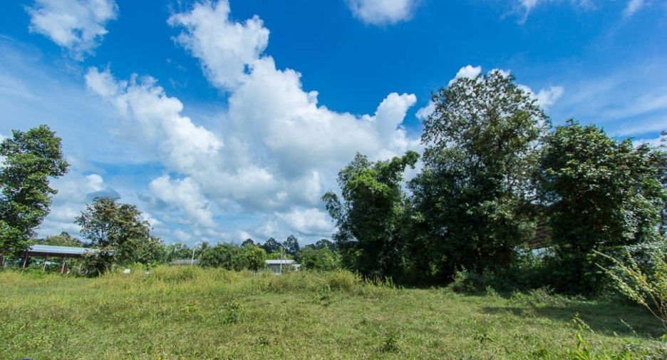 For sale land in Mueang Ubon Ratchathani, Ubon Ratchathani