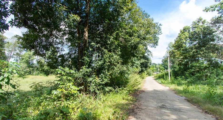 For sale land in Mueang Ubon Ratchathani, Ubon Ratchathani