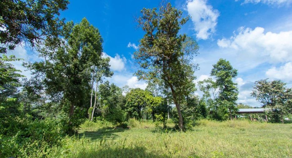 For sale land in Mueang Ubon Ratchathani, Ubon Ratchathani