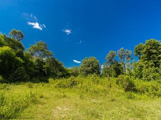 ขาย ที่ดิน ใน เมืองอุบลราชธานี, อุบลราชธานี